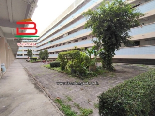 2-Photoroom (3)