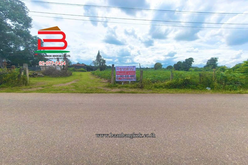 ที่ดินเปล่า ปากท่อ-ราชบุรี (ทุ่งหลวงซอย 10) เนื้อที่ 27-2-67 ไร่ ตำบลทุ่งหลวง อำเภอปากท่อ จังหวัดราชบุรี