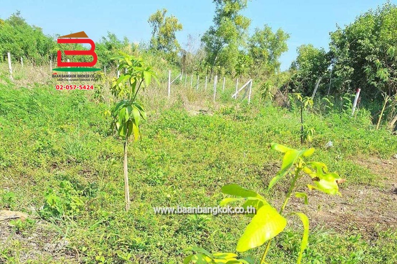 ที่ดินเปล่า เนื้อที่ 100 ตร.ว. ซอยศรีฟ้า ธัญบุรีคลอง 14 ถนนรังสิต-นครนายก ตำบลบึงน้ำรักษ์ อำเภอธัญบุรี ปทุมธานี   