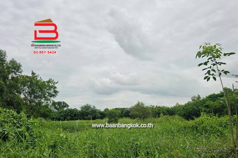 ที่ดินเปล่า เนื้อที่ 216 ตร.ว. ใกล้สถานีตำรวจหนองเสือ ถนนรังสิต-นครนายก ตำบลบึงบา อำเภอหนองเสือ ปทุมธานี   