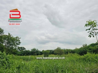 12137, ที่ดินเปล่า เนื้อที่ 216 ตร.ว. ใกล้สถานีตำรวจหนองเสือ ถนนรังสิต-นครนายก ตำบลบึงบา อำเภอหนองเสือ ปทุมธานี   