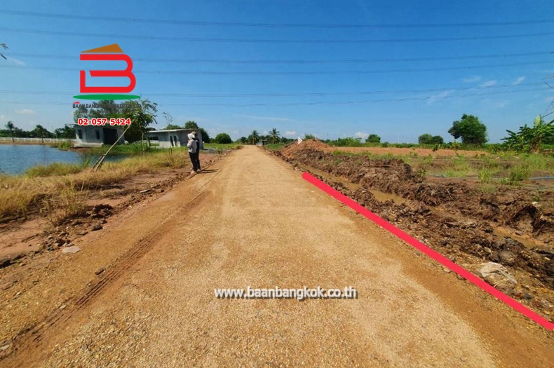 ที่ดินเปล่า ซอยบึงพะยอม คลอง9 เนื้อที่ 200 ตรว. ใกล้วัดใหม่คลอง 9 ถนนรังสิต-นครนายก ตำบลบึงบา อำเภอหนองเสือ จังหวัดปทุมธานี