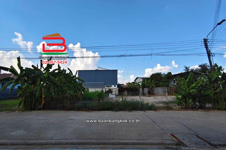 ให้เช่า ที่ดินเปล่า เนื้อที่ 200 ตร.ว. ซอยไสวประชาราษฎร์ 29 ถนนลำลูกกา ตำบลลาดสวาย อำเภอลำลูกกา ปทุมธานี  